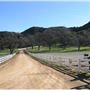 Ventura Farms