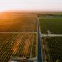 Lodi