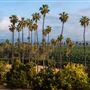 California Citrus State Historic Park (SHP)