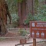 Armstrong Redwoods State Natural Reserve (SNR)