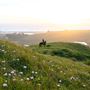 Bodega Bay