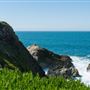 Bodega Head / Dunes (Sonoma Coast State Beach)