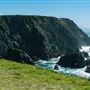 Bodega Head / Dunes (Sonoma Coast State Beach)