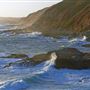 Bodega Head / Dunes (Sonoma Coast State Beach)