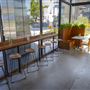 Toastique on Sunset
