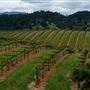 Healdsburg