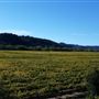 Healdsburg