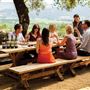 Jordan Vineyard and Winery