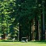 Northwood Golf Club