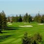 City of Rohnert Park