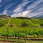 Sonoma