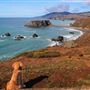 Sonoma Coast State Park (SP)