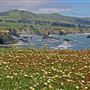 Sonoma Coast State Park (SP)