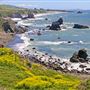 Sonoma Coast State Park (SP)