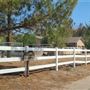 Sunny Canyon Ranch