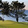 Torrey Pines Golf Course
