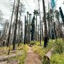 Boulder Creek