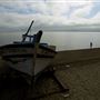 China Camp State Park (SP)