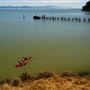 China Camp State Park (SP)