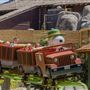 Knott's Berry Farm & Knott's California Marketplace