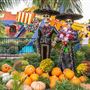 Knott's Berry Farm & Knott's California Marketplace