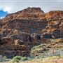 Mojave Narrows Regional Park