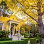 Walnut Avenue
