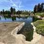 Japanese Gardens @ Donald C. Tillman Water Reclamation Plant