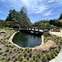 Japanese Gardens @ Donald C. Tillman Water Reclamation Plant