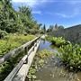 Japanese Gardens @ Donald C. Tillman Water Reclamation Plant
