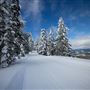 Dodge Ridge Mountain Resort