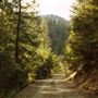 Klamath National Forest