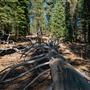 Washoe Meadows State Park (SP)
