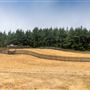Tolowa Dunes State Park (SP)