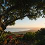 Santa Ynez