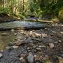 Forest of Nisene Marks State Park (SP), The