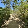 Kenneth Hahn State Recreational Area (SRA) administered by Los Angeles County