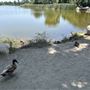 Whittier Narrows Recreation Area / LA County Parks - US Army Corps of Engineers