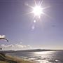 Sand City Beach / Eolian Dunes Preserve