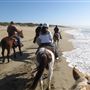 Moss Landing