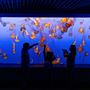 Monterey Bay Aquarium
