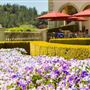 Ferrari Carano Vineyards and Winery