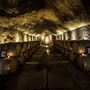 Buena Vista Winery
