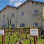 Chateau St. Jean Winery