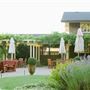 DeLoach Winery