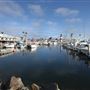 Oceanside Harbor