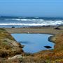Hearst San Simeon State Park (SP)