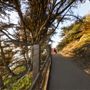 New Brighton State Beach (SB)