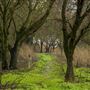 Delta Meadows Park Property