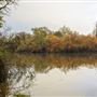 Delta Meadows Park Property